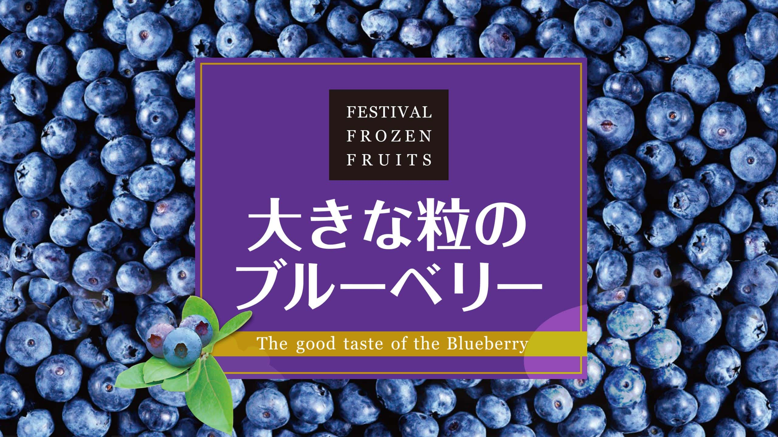 大きな粒のブルーベリー 家庭用商品 富士通商株式会社
